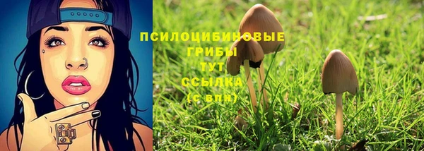 прущая мука Абаза