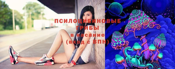 МДПВ Абдулино