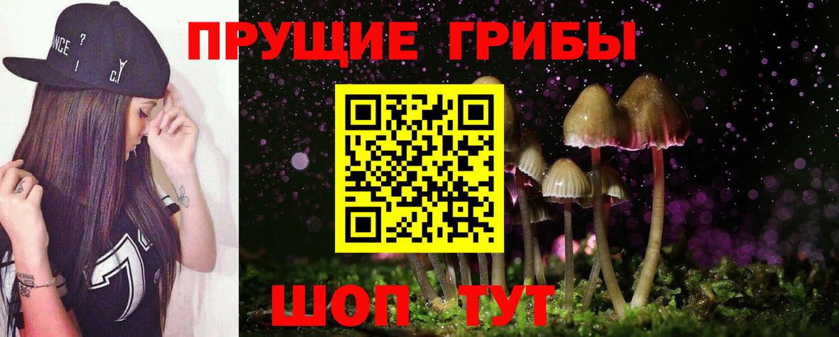 купить  сайты  Псилоцибиновые грибы Psilocybine cubensis  Вход с VPN  Егорьевск  Галлюциногенные грибы GOLDEN TEACHER 