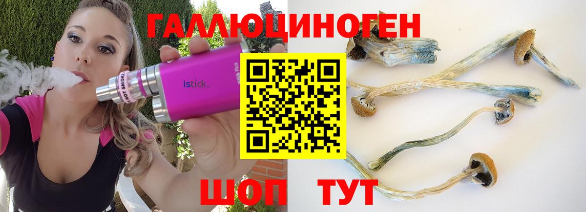 Псилоцибиновые грибы Magic Shrooms Егорьевск