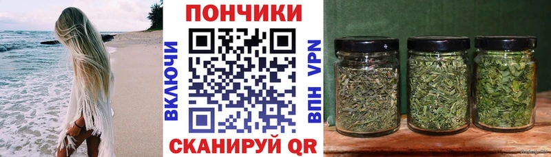 Бошки марихуана марихуана  kraken вход  Егорьевск 